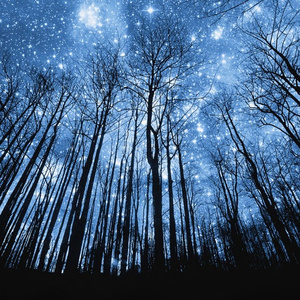 美女露出内裤来让男人摸
